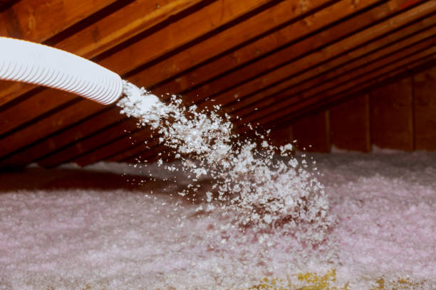 Best Insulation for New Construction  in Prices Fork, VA