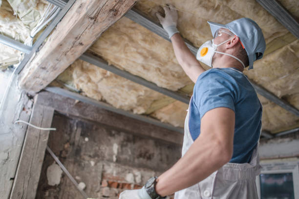 Best Home Insulation Services  in Prices Fork, VA