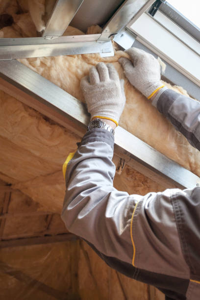 Best Insulation Replacement Services  in Prices Fork, VA
