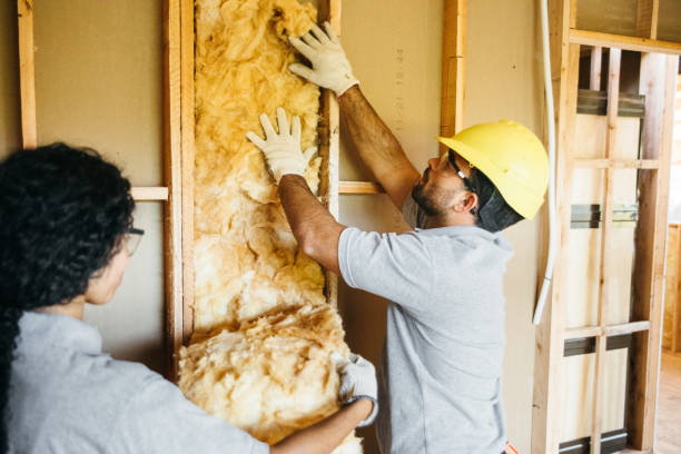 Best Energy-efficient Insulation  in Prices Fork, VA