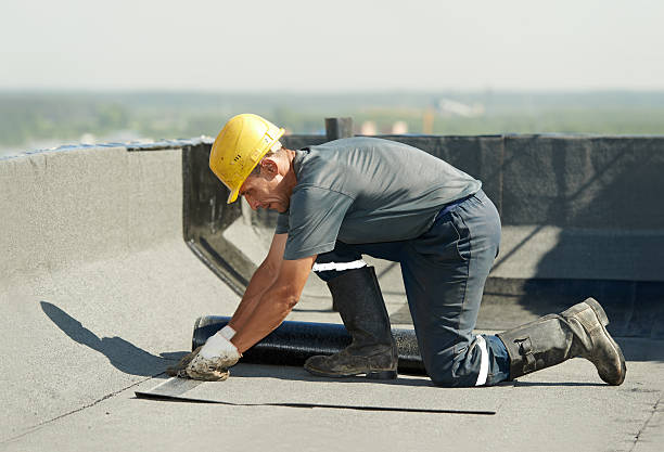 Best Insulation Repair Services  in Prices Fork, VA