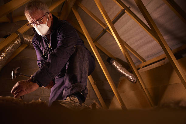 Best Wall Insulation Contractor  in Prices Fork, VA